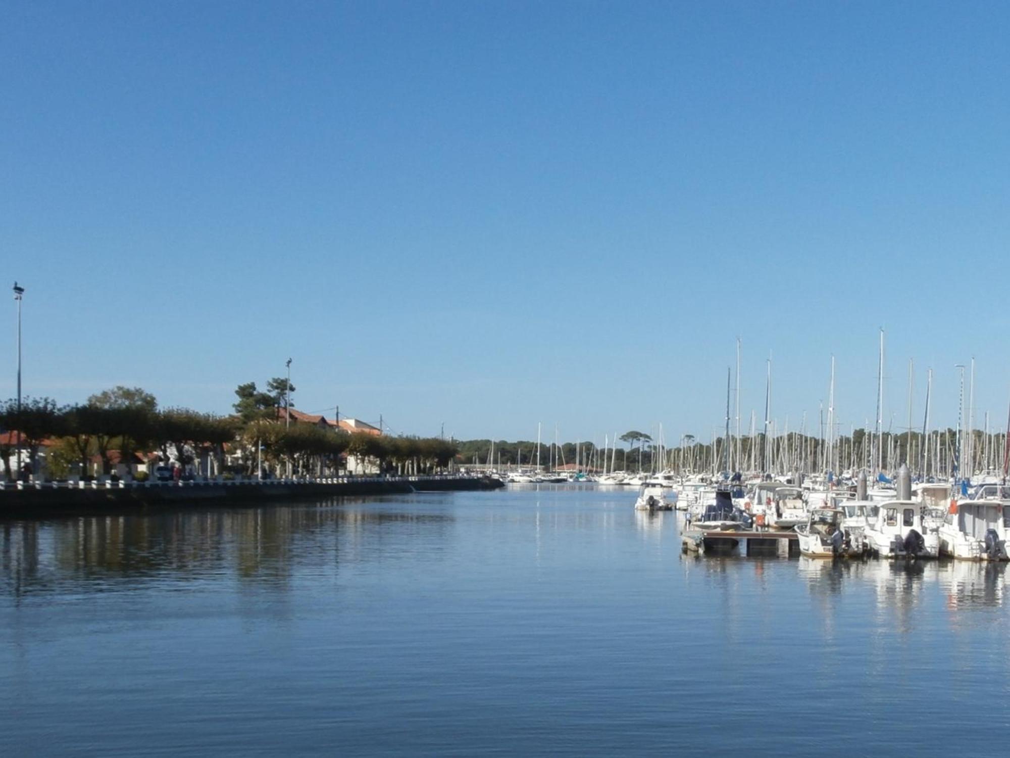 Charmant T3 De Standing A Capbreton, Jardin, 3 Chambres, Terrasse Couverte, Proche Port Et Plages - Fr-1-239-484 Eksteriør billede